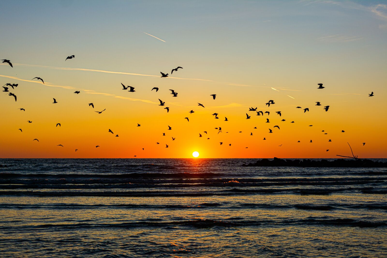 Nikon D7100 sample photo. Sun, sunrise, sky photography