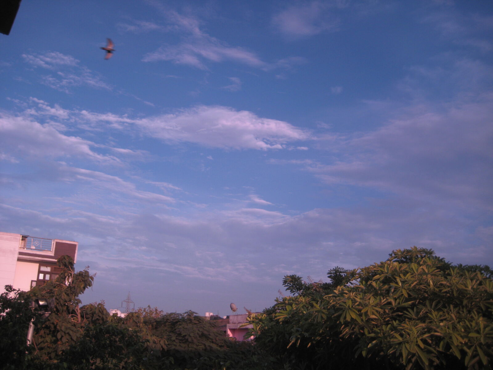 Canon DIGITAL IXUS 75 sample photo. Blue, cloudy, sky photography