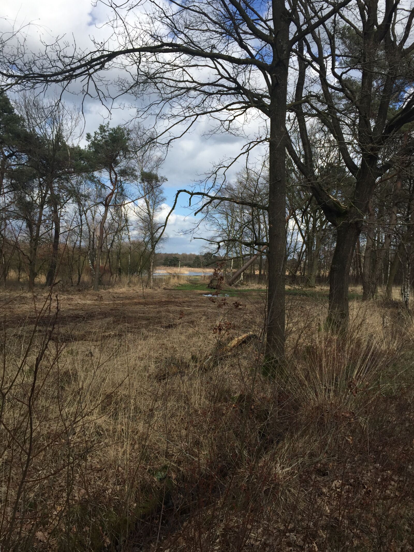 iPhone 6 back camera 4.15mm f/2.2 sample photo. Belgium, landscape, nature photography