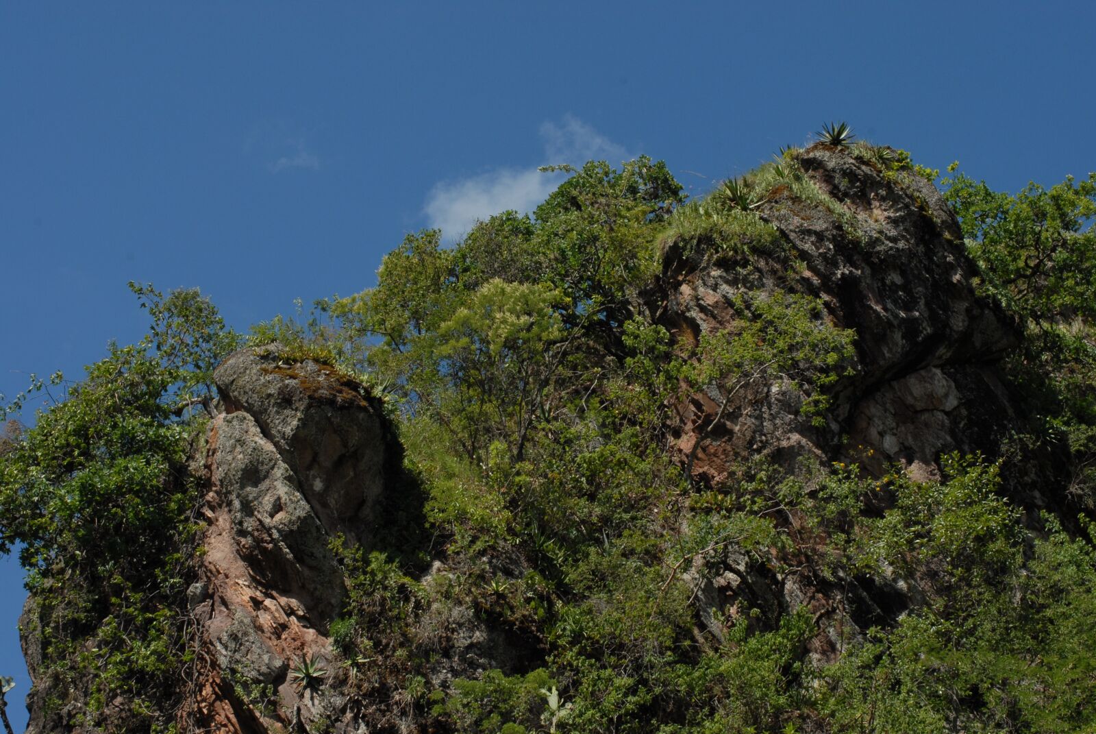 Nikon D200 sample photo. Rock, mount, nature photography