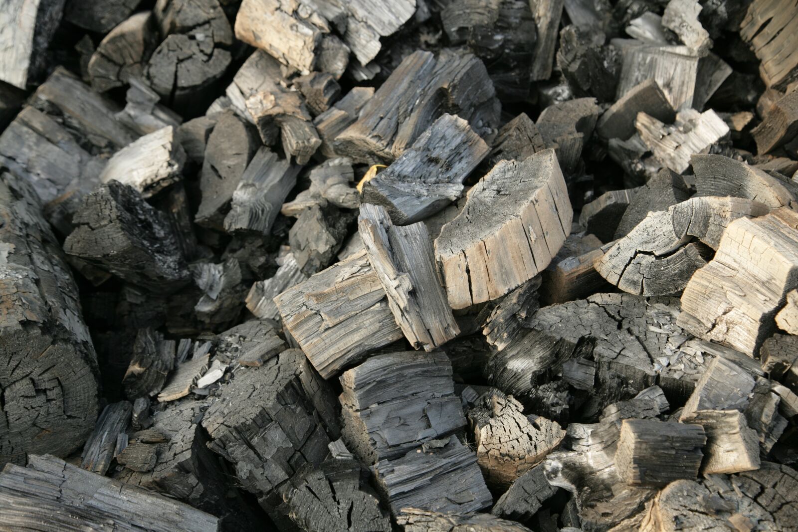 Canon EOS-1Ds Mark II sample photo. Coal, firewood, black photography
