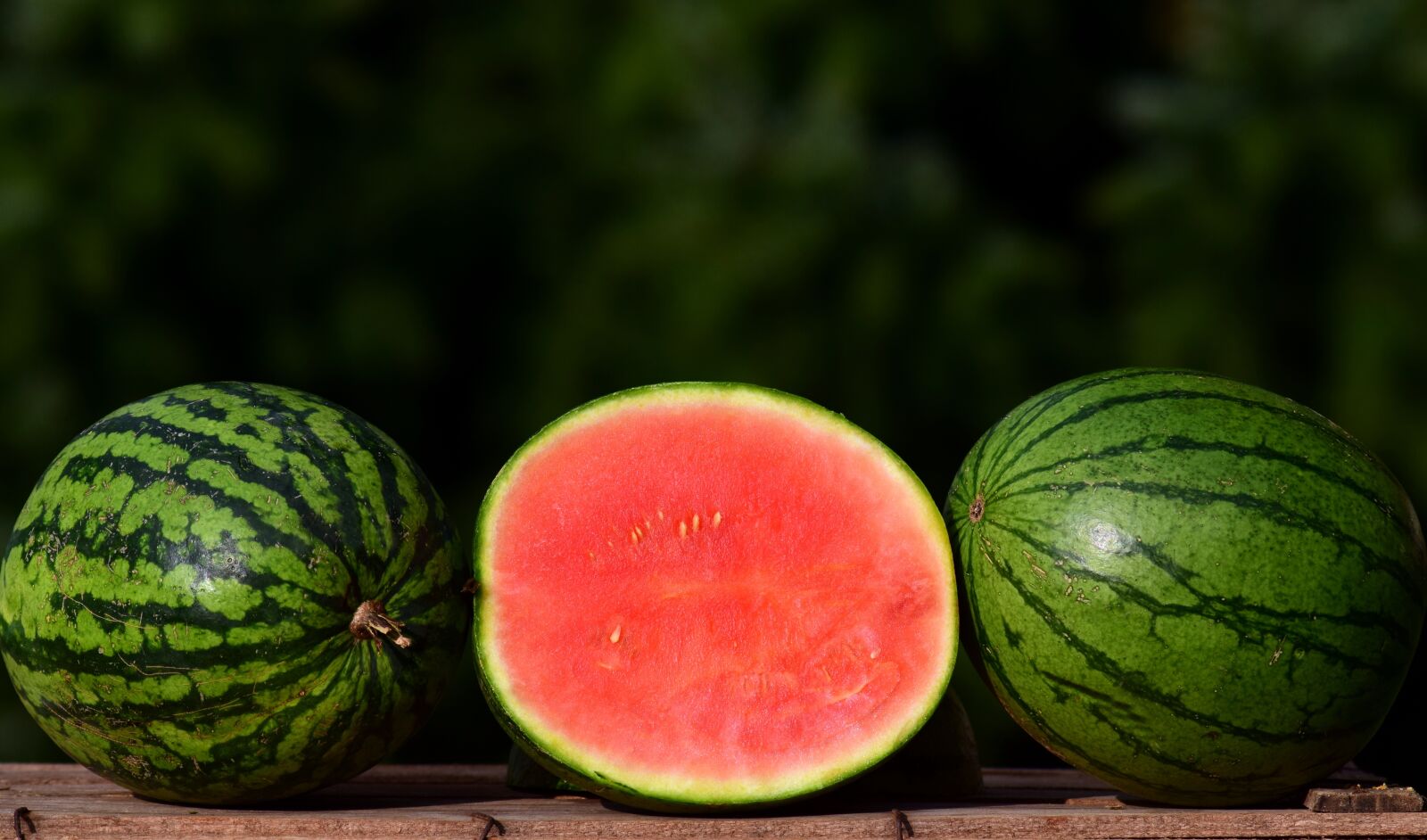 Nikon D3300 sample photo. Melon, ziermelone, watermelon photography