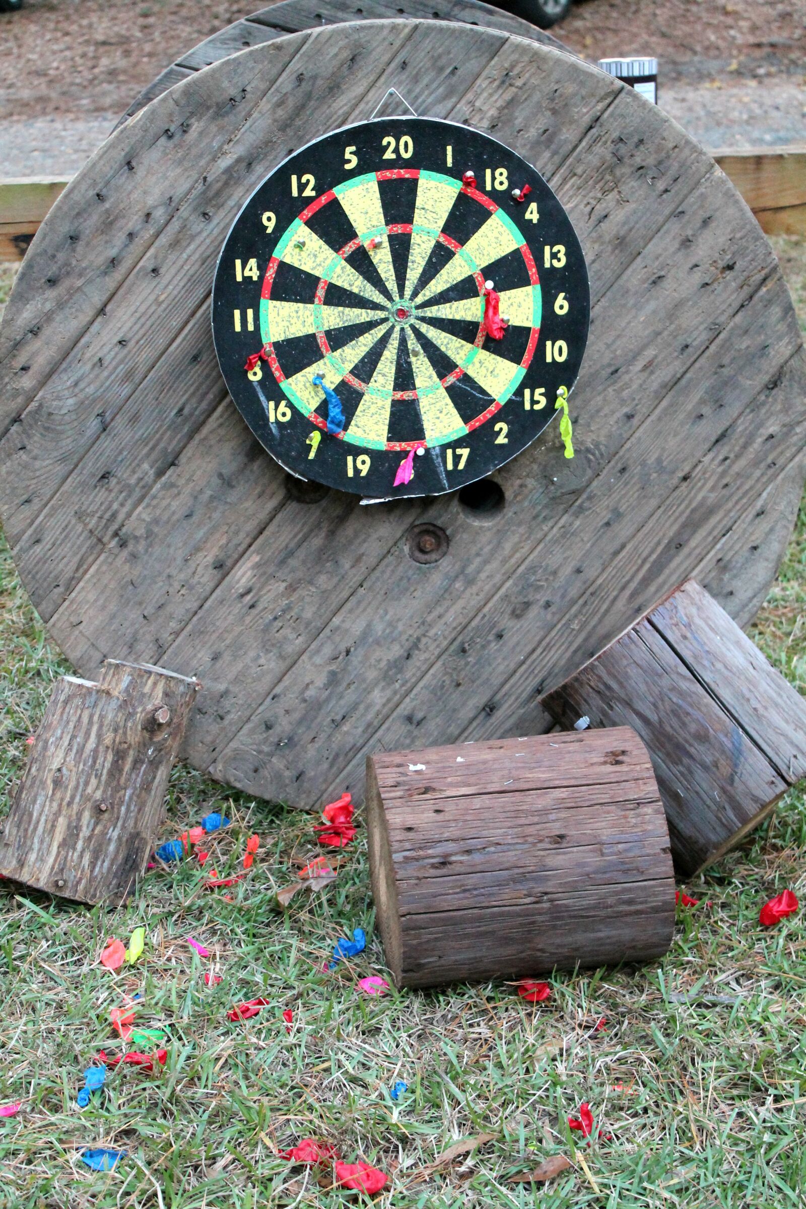 Canon EOS 1100D (EOS Rebel T3 / EOS Kiss X50) sample photo. Game, games, darts photography