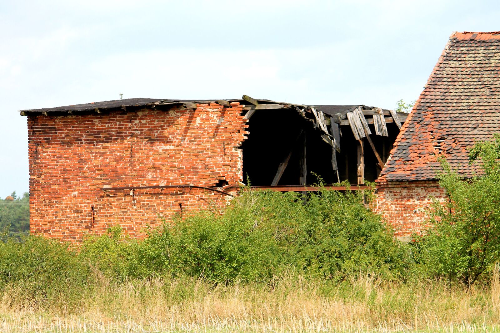 Canon EF-S 55-250mm F4-5.6 IS II sample photo. Homestead, old, abandoned photography