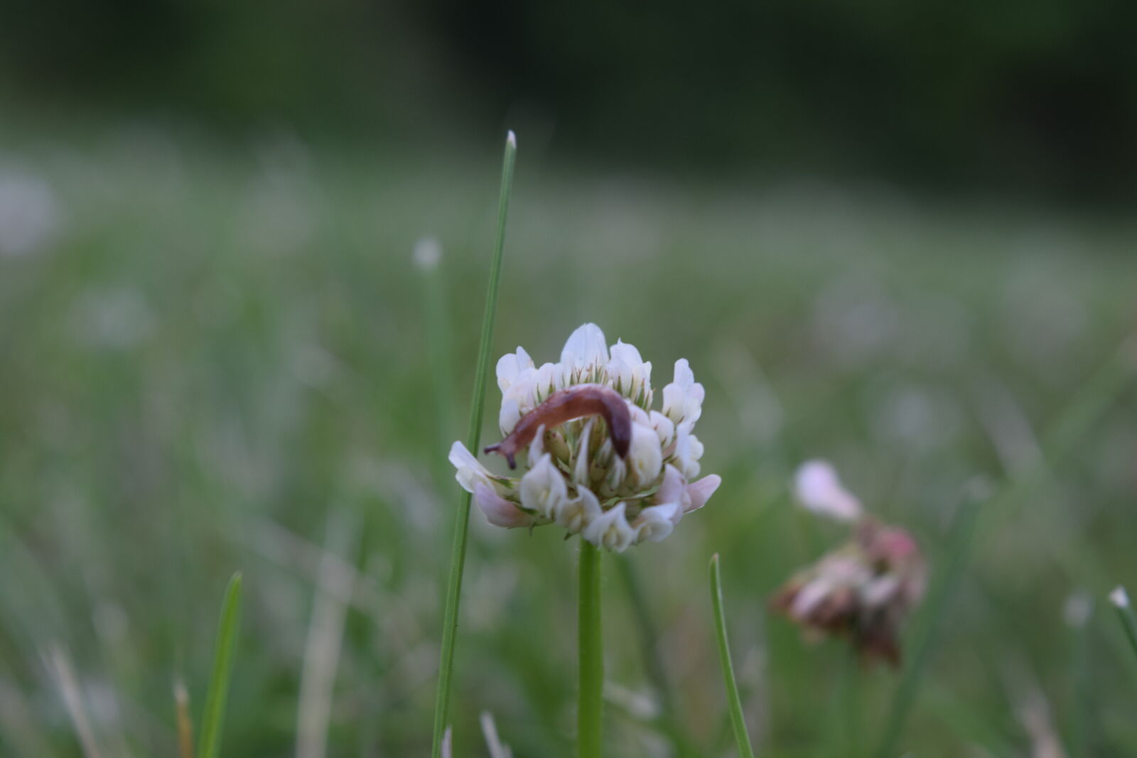 Nikon D3300 sample photo