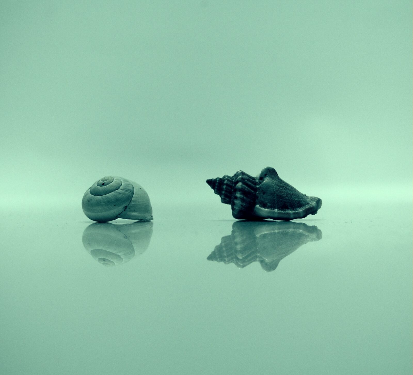 Nikon D40 sample photo. Wellness, rest, spa photography