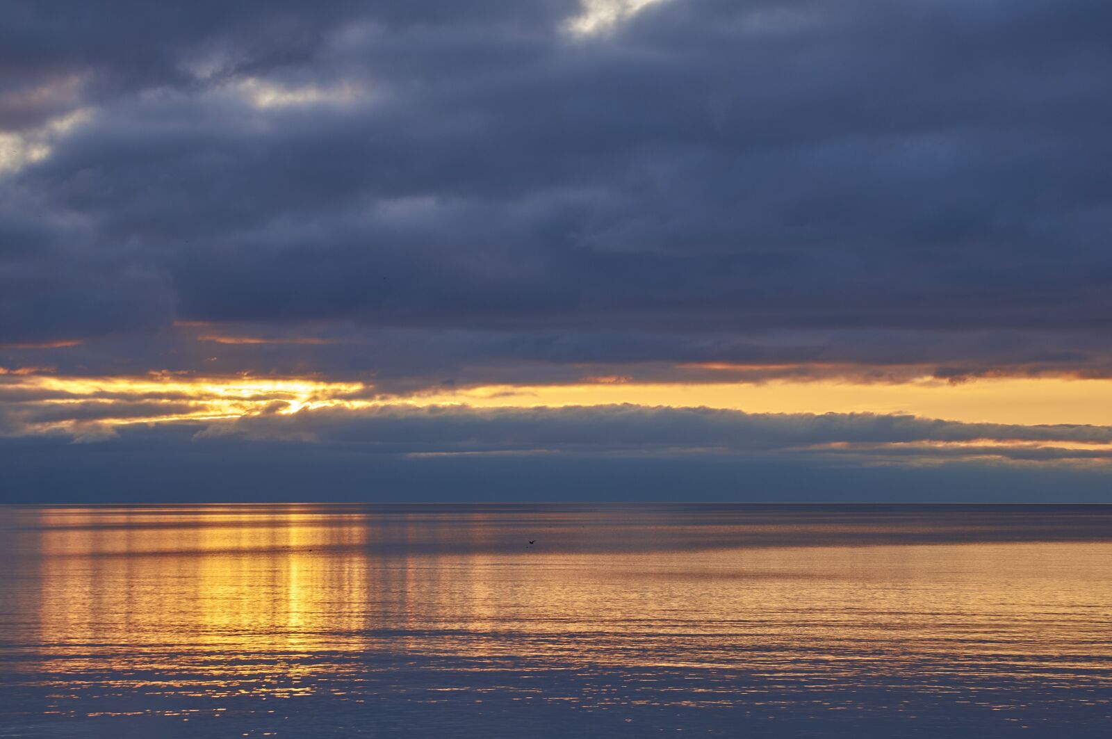 Sony FE 70-300mm F4.5-5.6 G OSS sample photo. Burlington, canada, ontario photography
