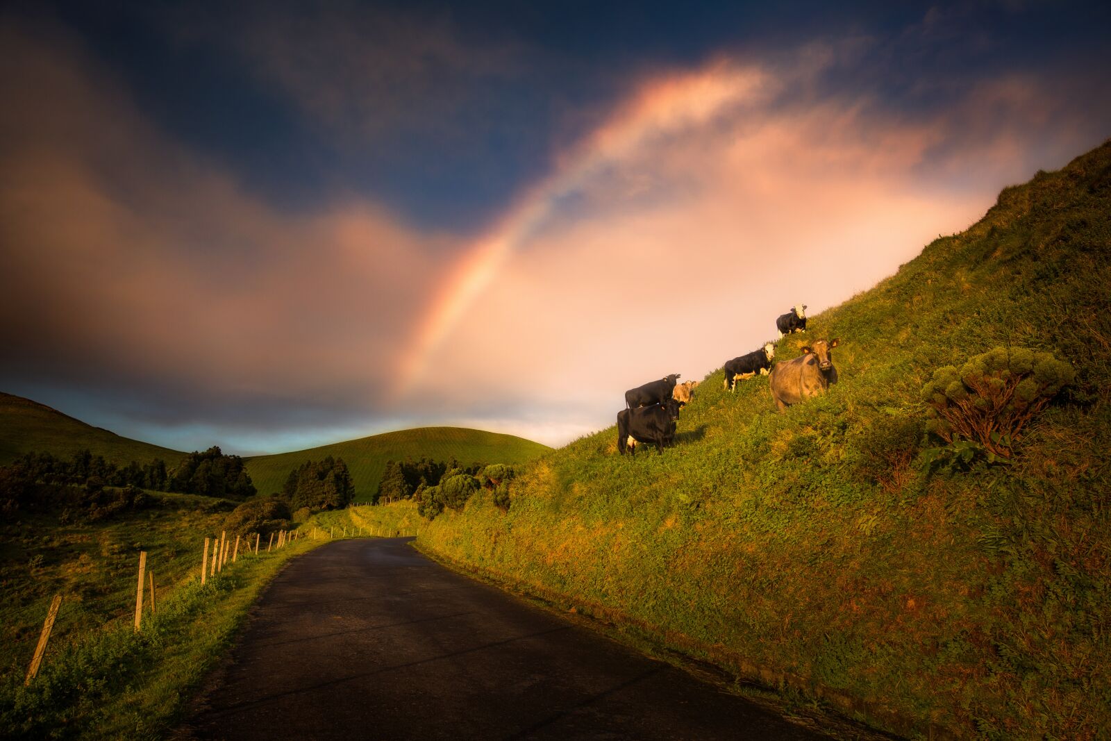 Canon EOS 5D Mark III sample photo. Azores, landscape, nature photography