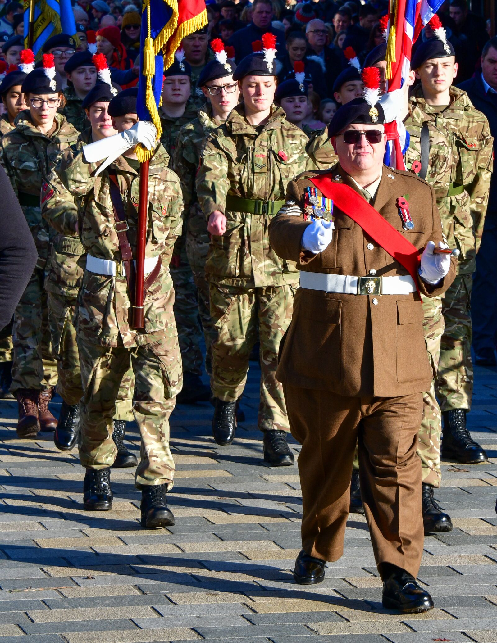 Nikon D850 sample photo. Remembrance day, veteran, military photography
