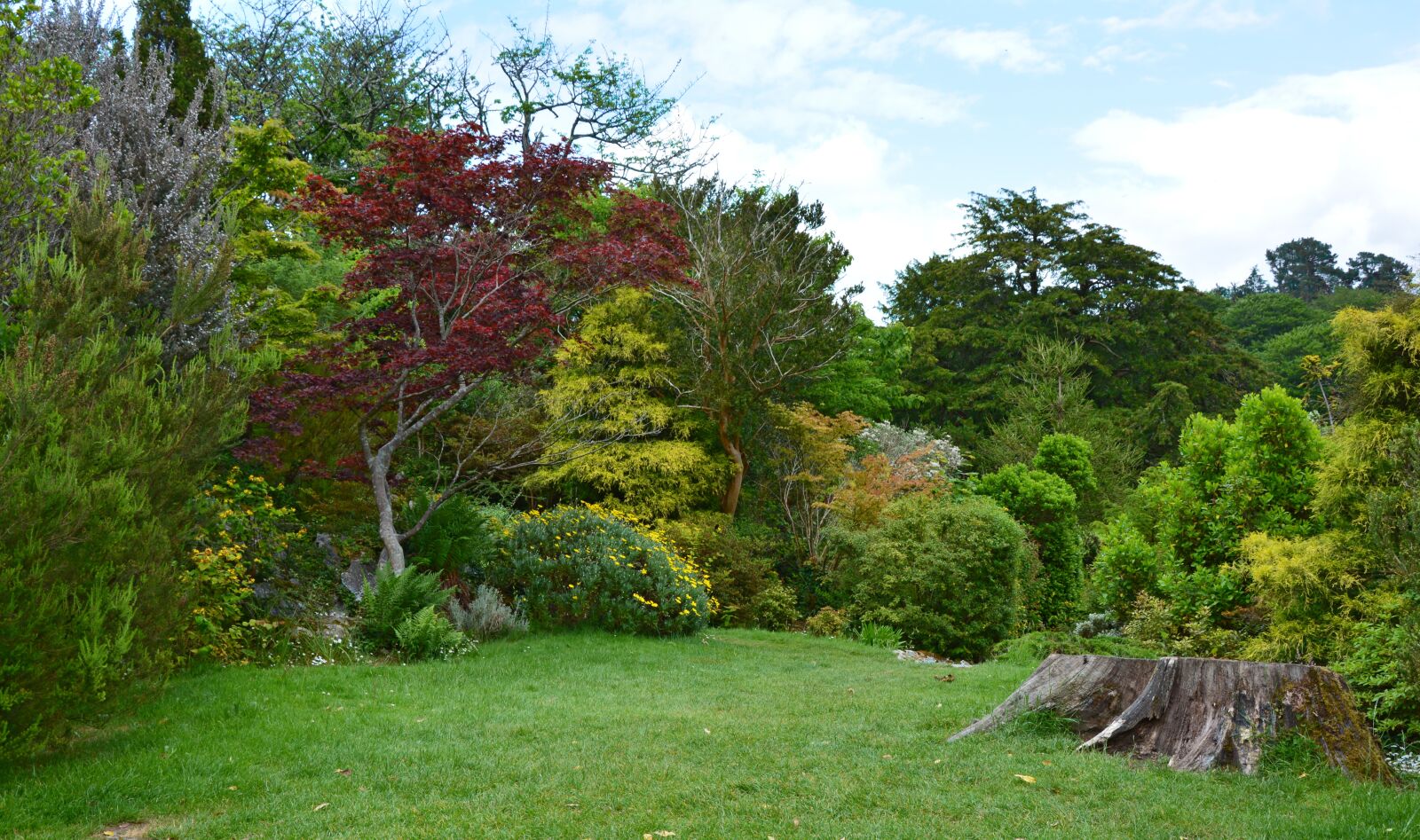 Nikon D5200 sample photo. Park, parklandschaft, mood photography