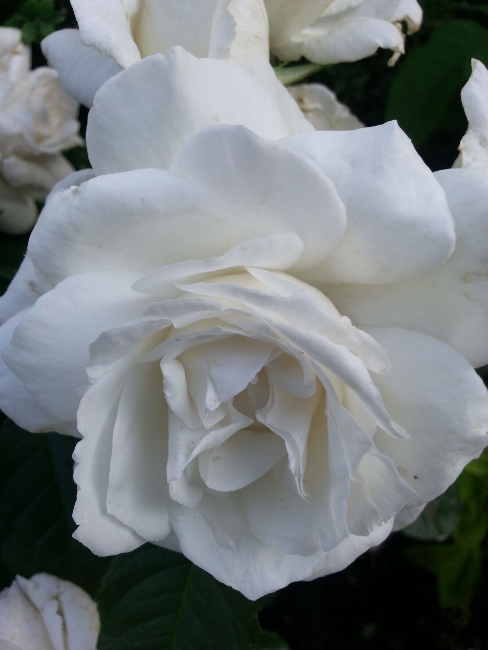 Samsung Galaxy S3 sample photo. Value, folmer, sneek photography