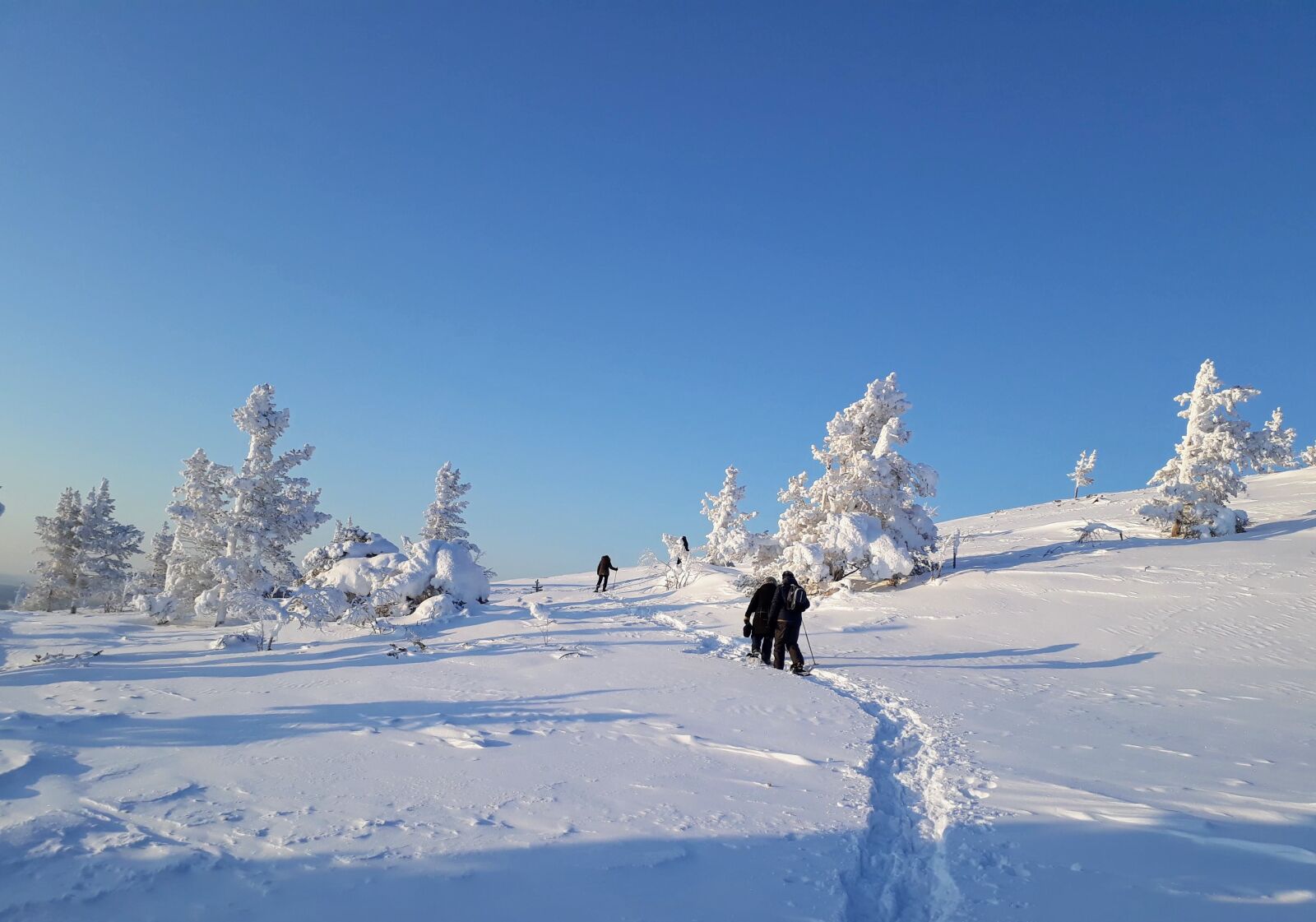 Samsung Galaxy A3(2017) sample photo. The lapland, fell, lapland photography