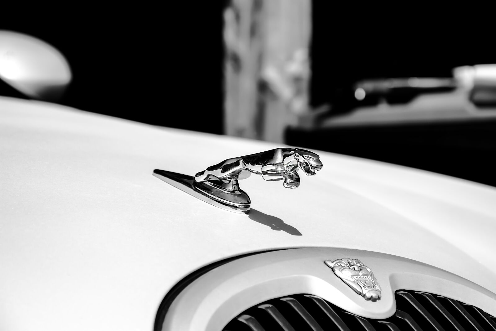 Nikon D7200 sample photo. Jaguar, white, auto photography