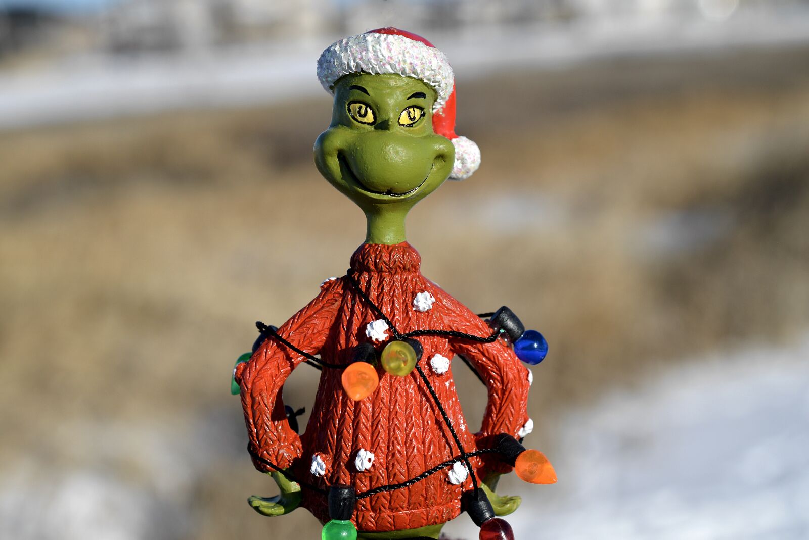 Nikon D3200 sample photo. Grinch, christmas, green photography