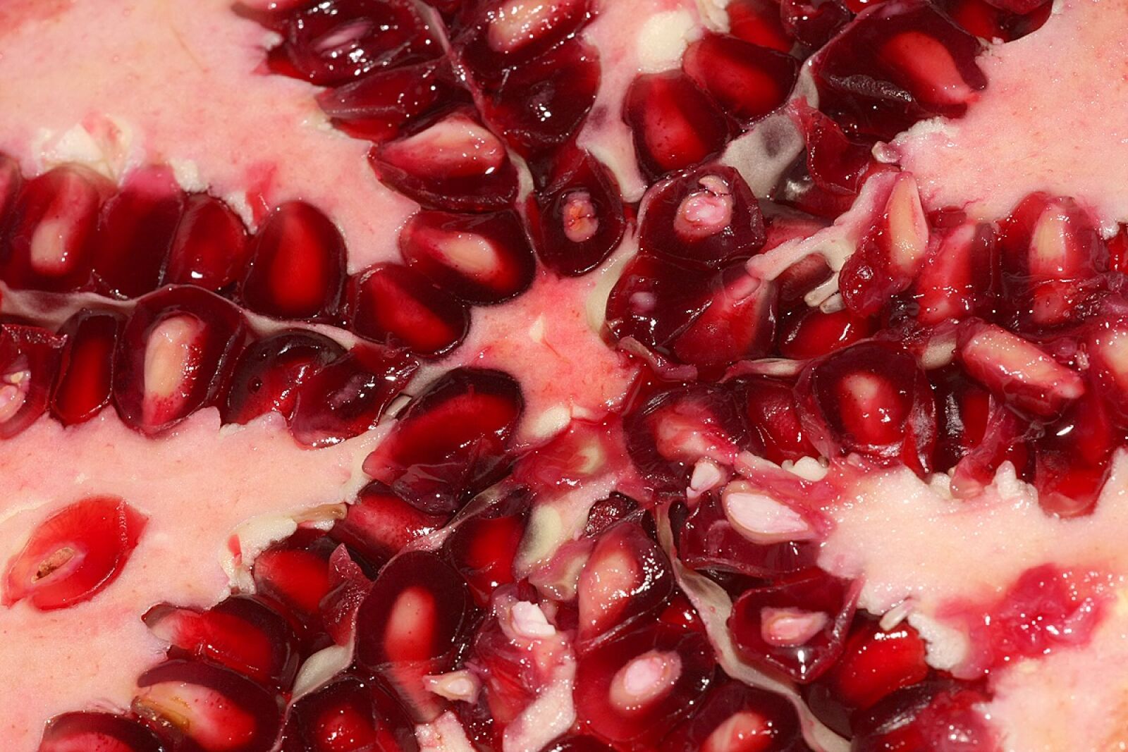 Canon EOS 40D sample photo. Pomegranate, punica granatum, fruit photography