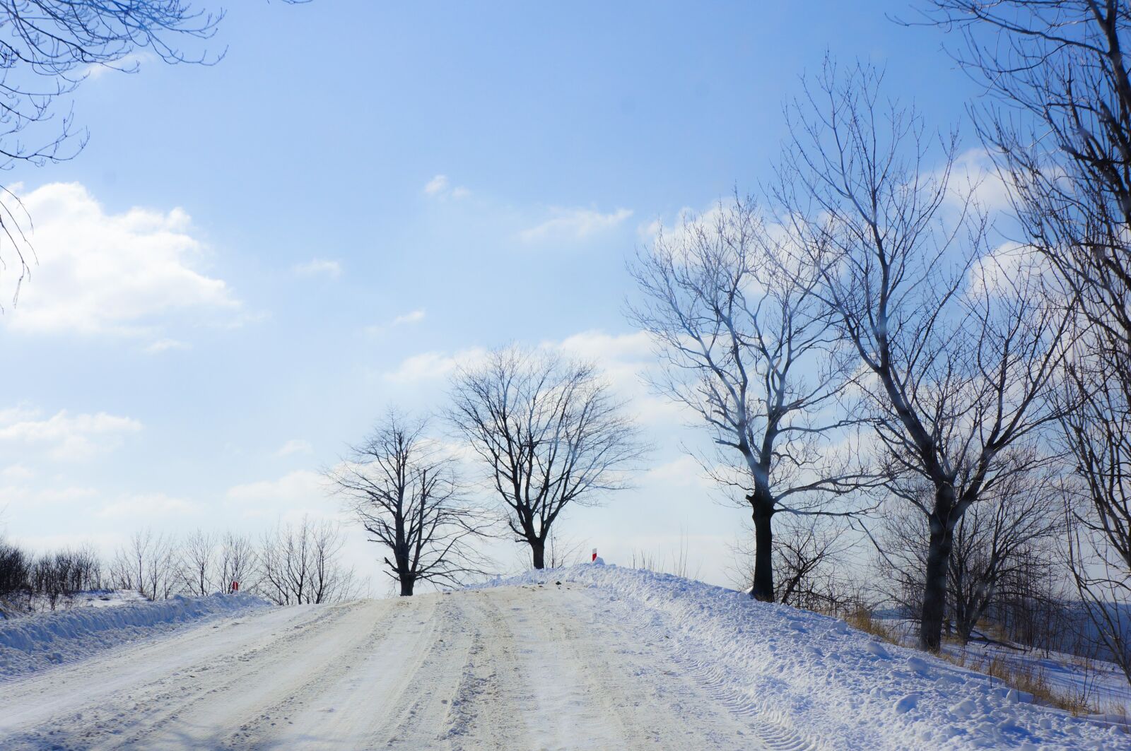 Sony Alpha NEX-5N + Sony E 18-55mm F3.5-5.6 OSS sample photo. Winter, landscape, tree photography