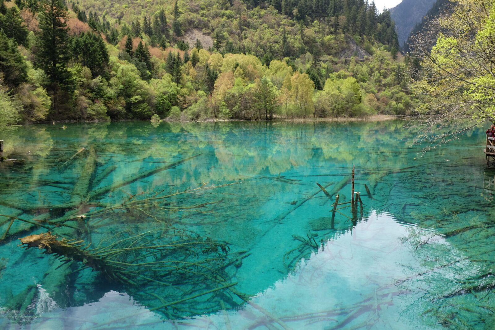 Fujifilm X100T sample photo. Jiuzhaigou, lake, sichuan photography