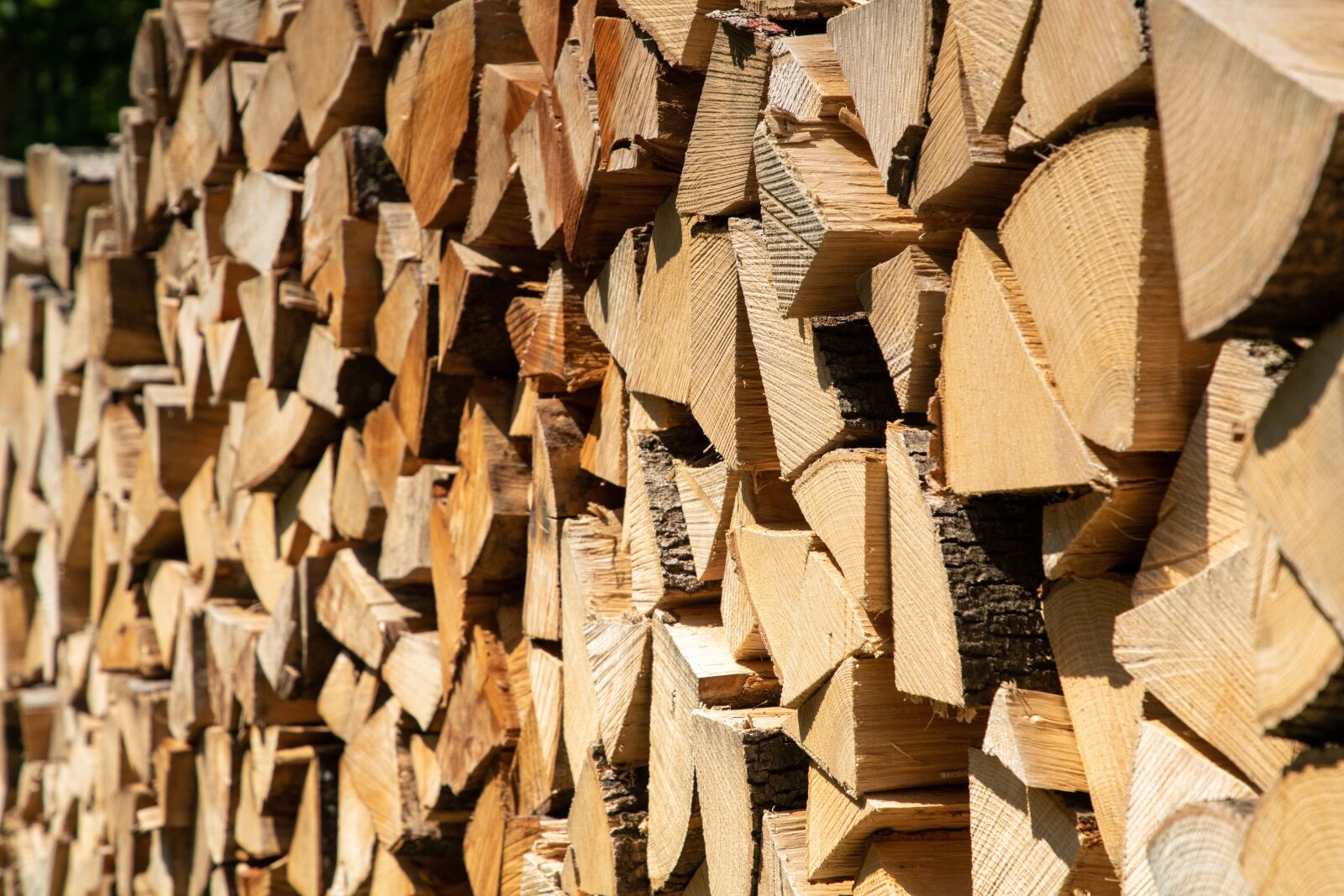 DT 24-105mm F4 SAM sample photo. Wood, fire, burn photography