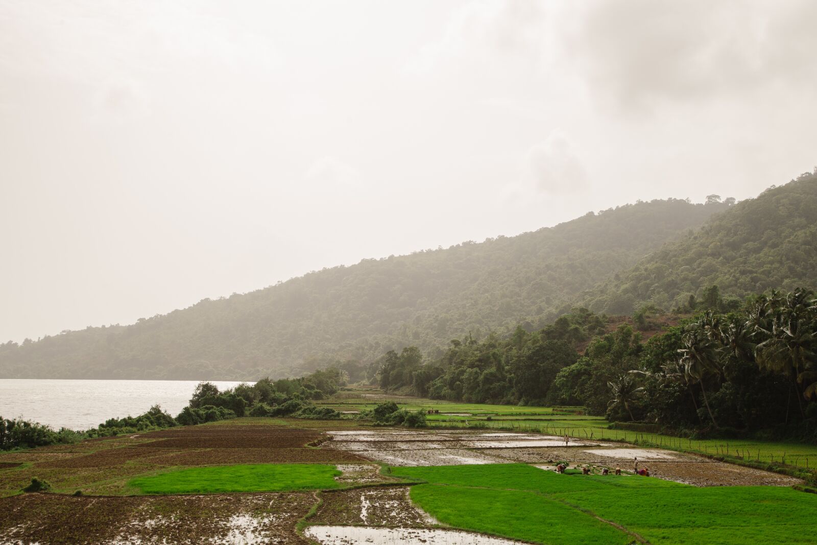 Canon EOS 5D Mark II sample photo. Mountain, highland, crops photography