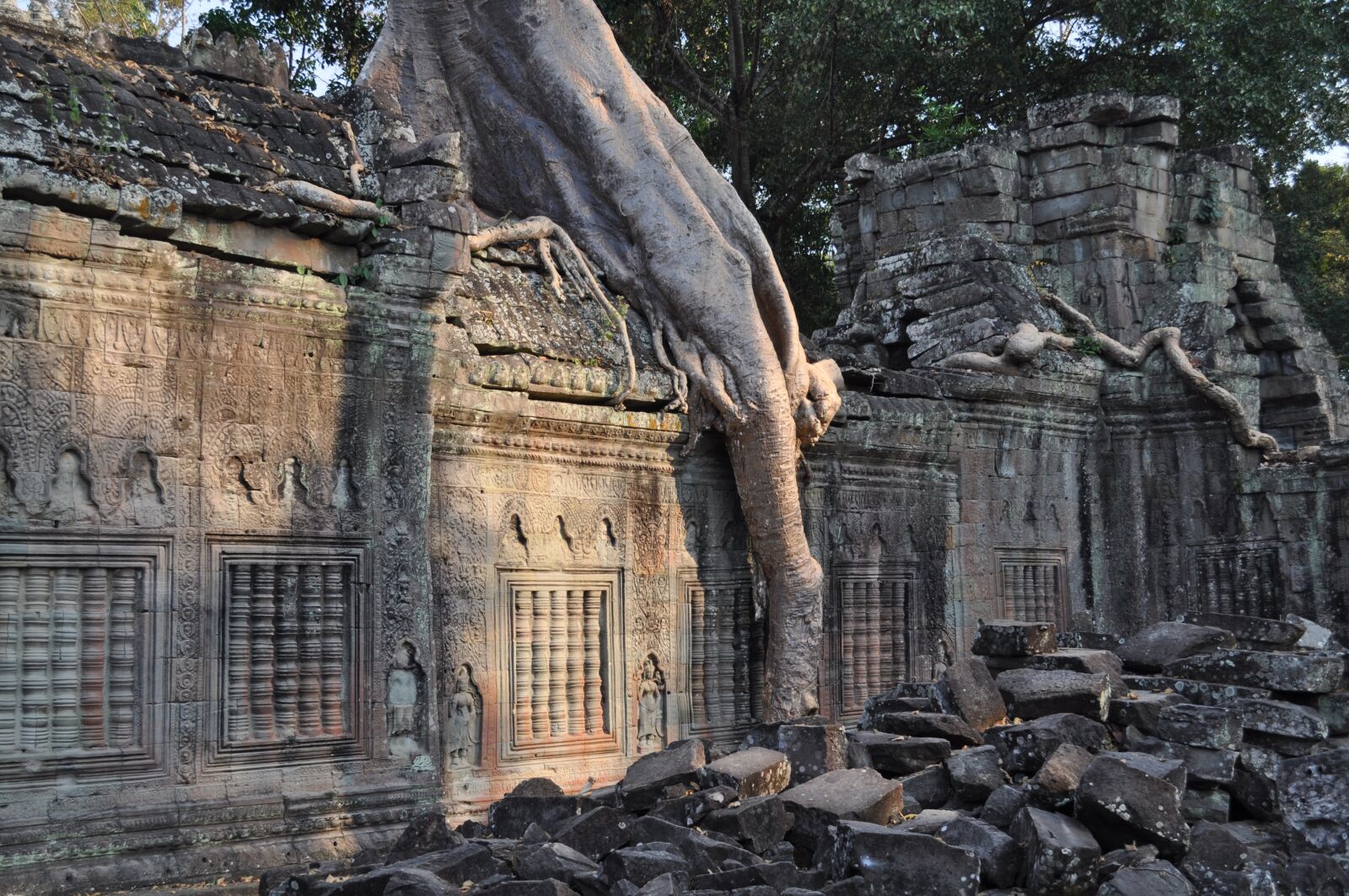 Nikon D5000 sample photo. Temple, ruin, tree root photography