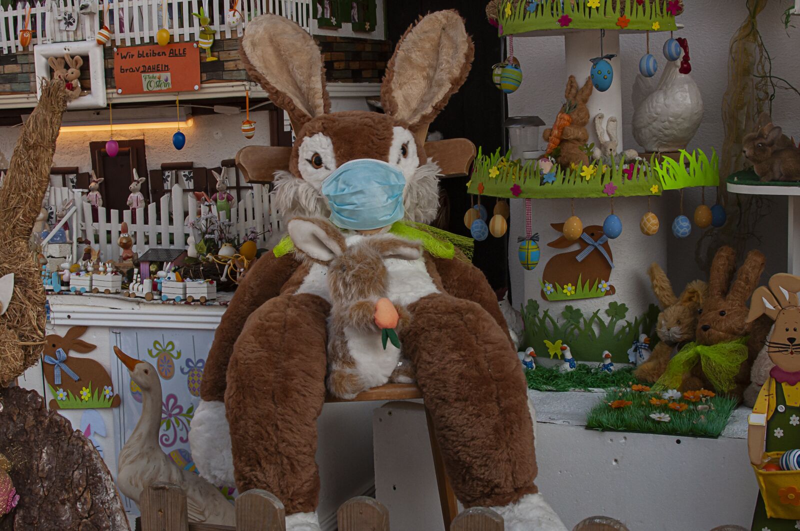 Nikon D90 sample photo. Easter bunny, bunny, eastern photography