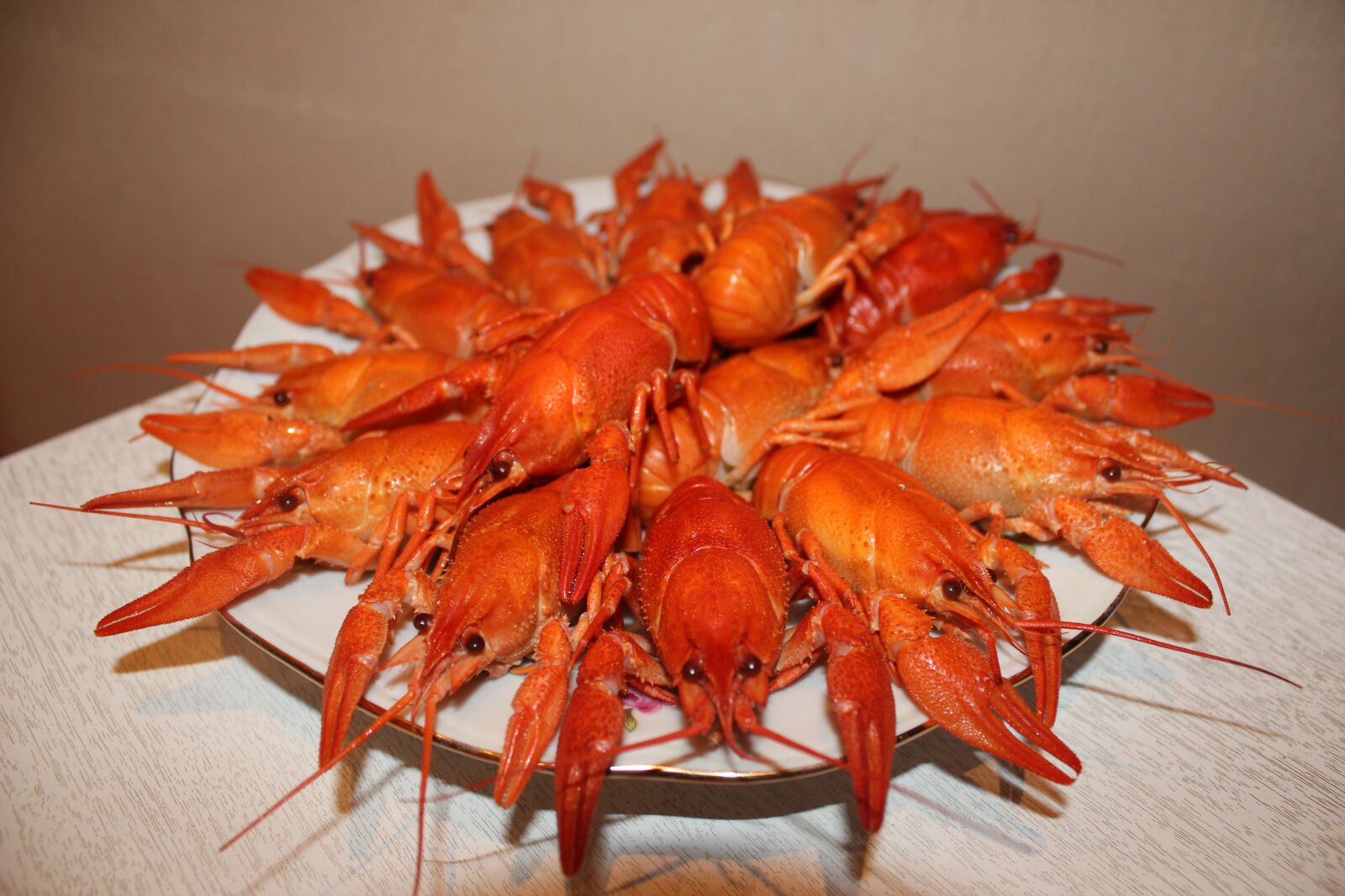 Canon EOS 550D (EOS Rebel T2i / EOS Kiss X4) sample photo. Crayfish, boiled crawfish, red photography