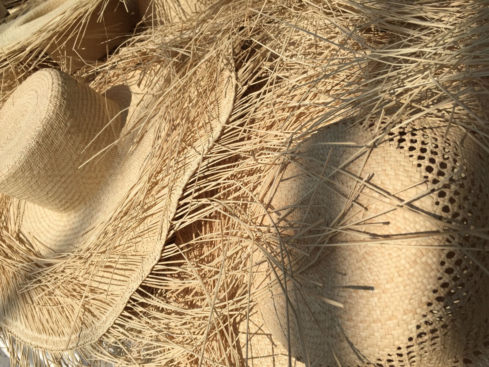 iPhone 6 back camera 4.15mm f/2.2 sample photo. Hats, ecuador, charter photography