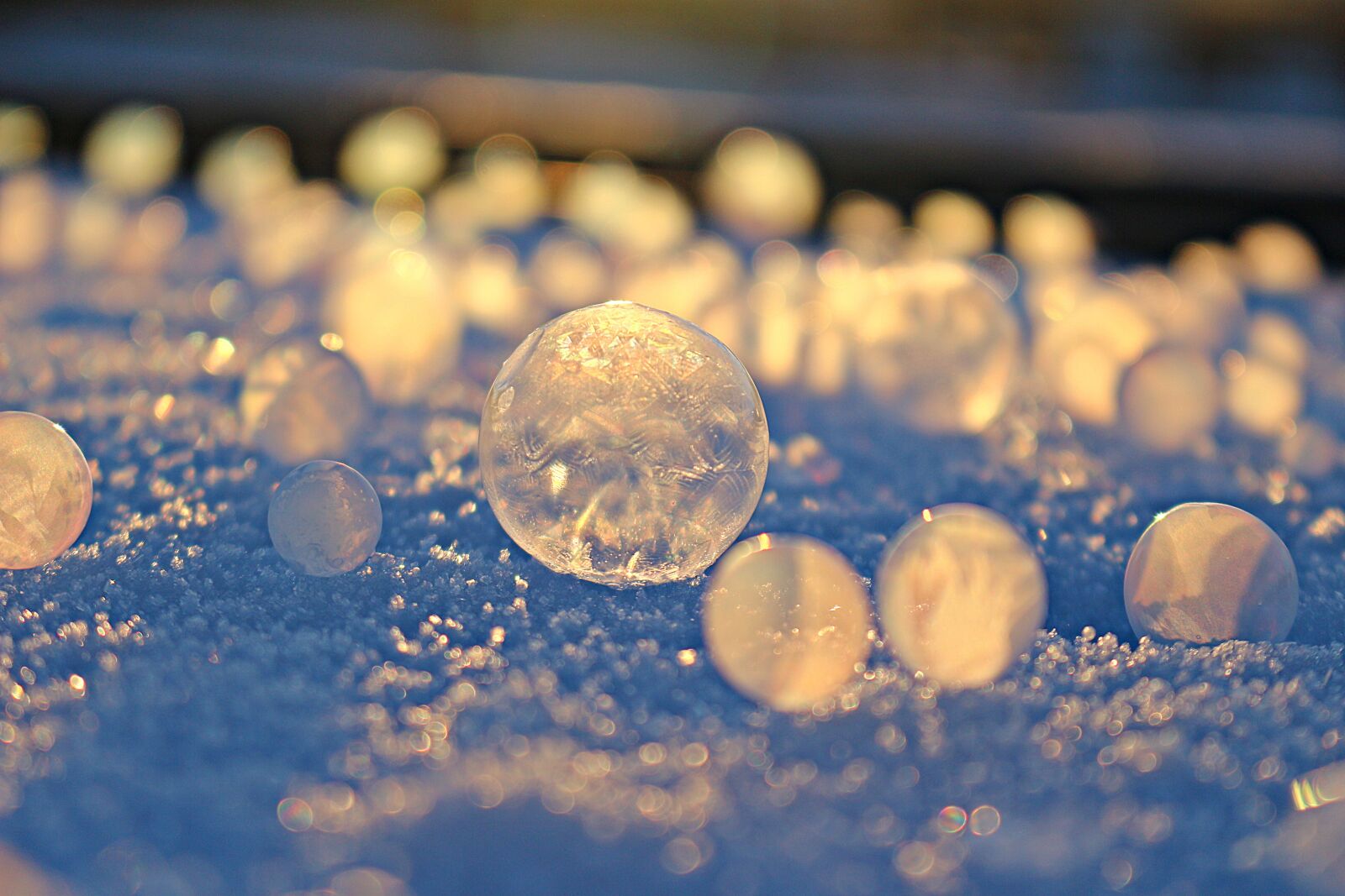 Canon EOS 100D (EOS Rebel SL1 / EOS Kiss X7) sample photo. Soap bubble, frost ball photography