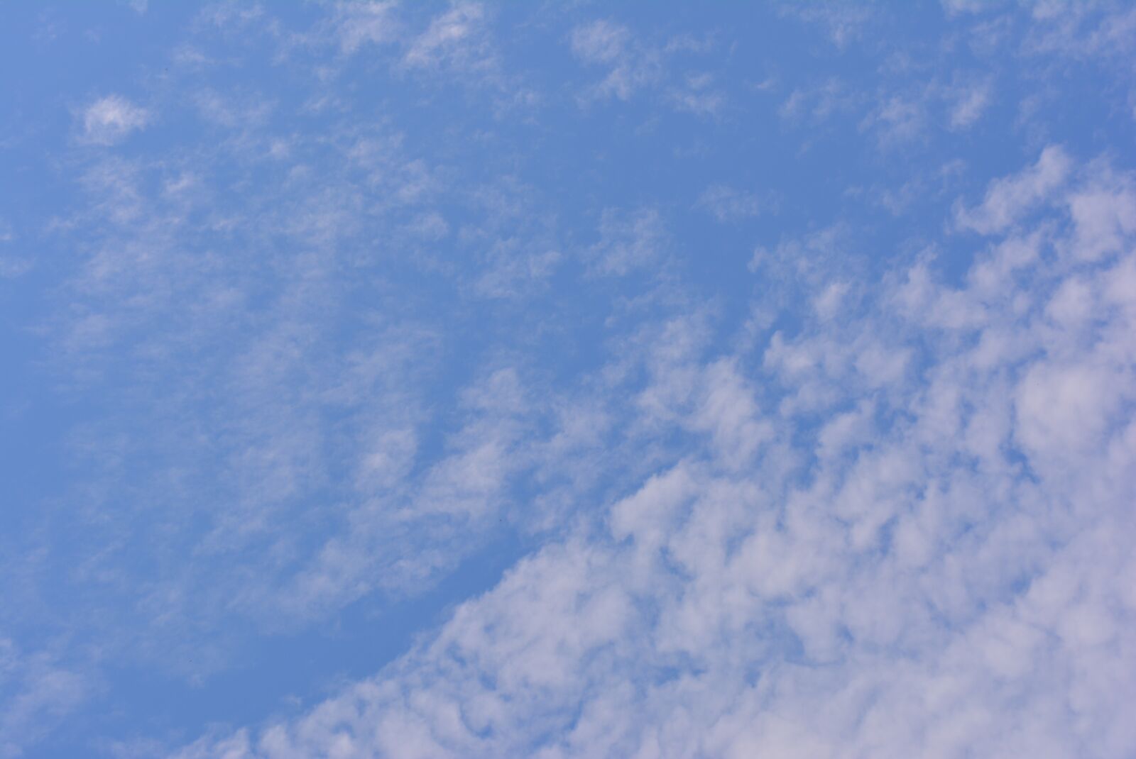 Nikon D5200 sample photo. Summer, sky, clouds photography