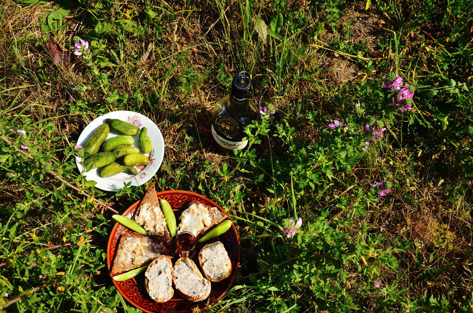Nikon D5100 sample photo
