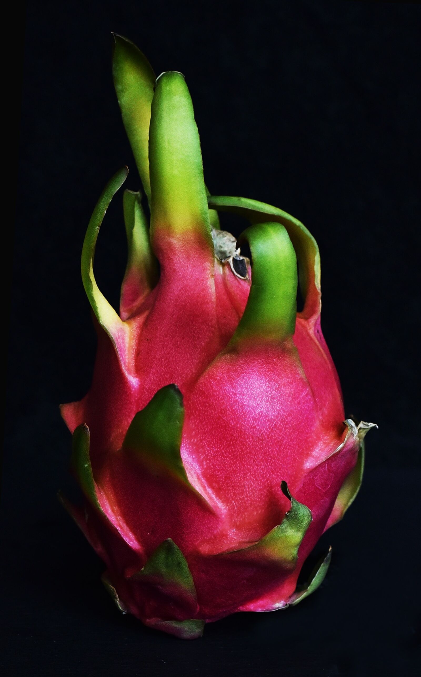 Nikon D750 sample photo. Pitaya, fruit, dragon fruit photography
