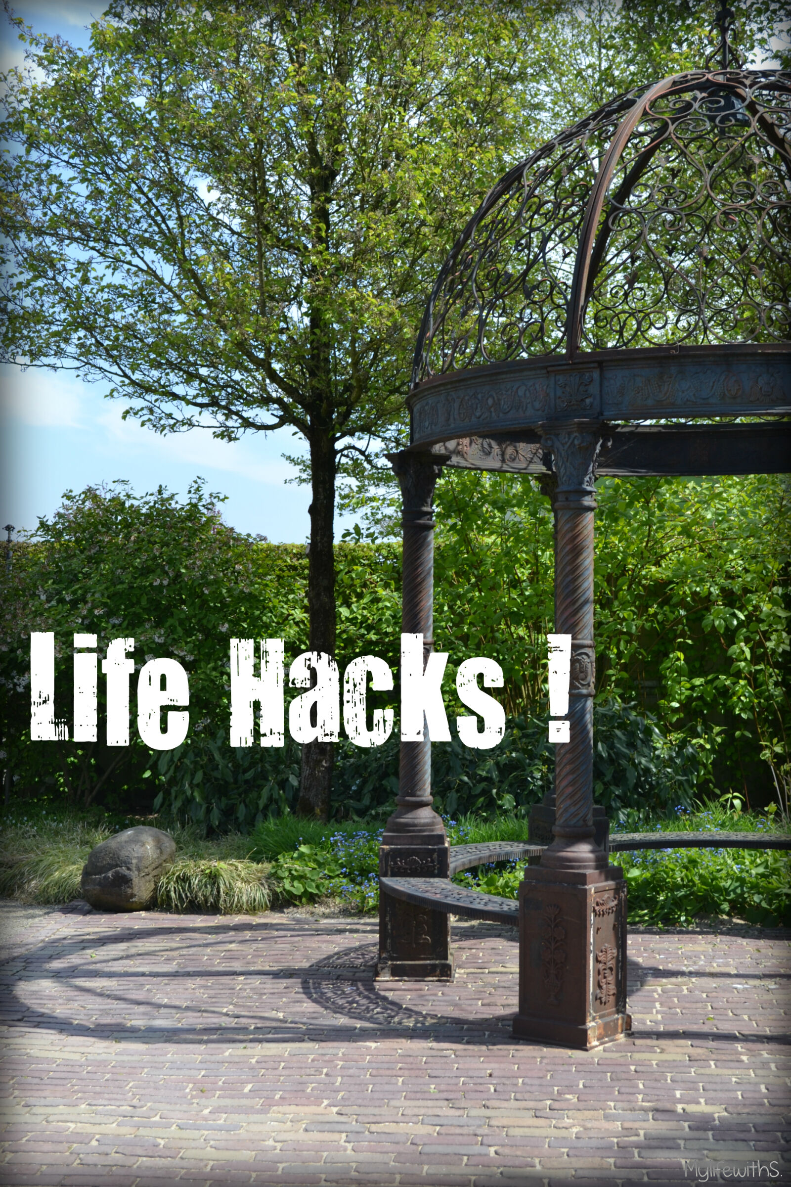 Nikon D3100 sample photo. Lifehacks, mevrouw, s, mylifewiths photography