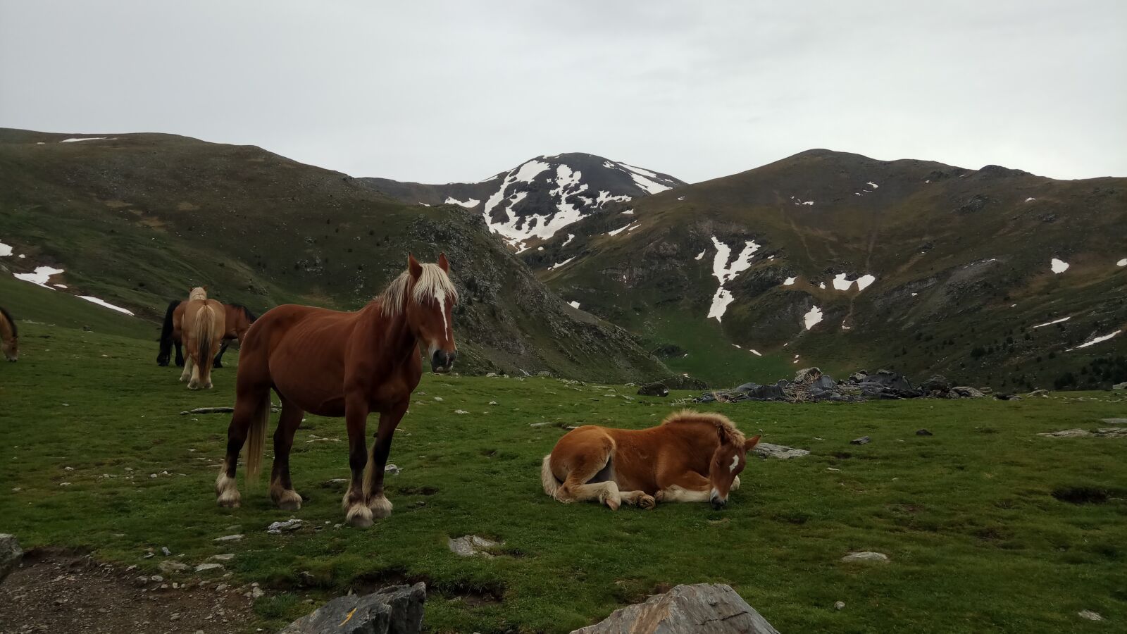 Xiaomi Redmi Pro sample photo. Mountains, nature, hiking photography