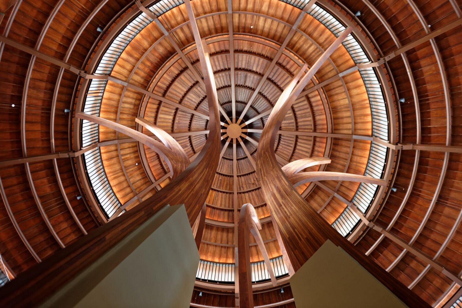 Nikon D810 sample photo. Roof, look up, view photography