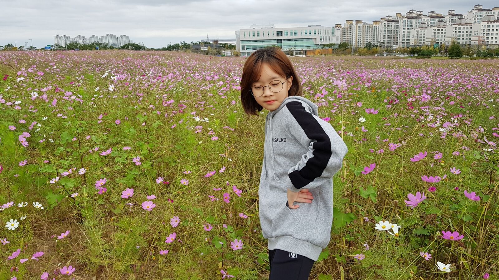 Samsung Galaxy S8+ sample photo. Nature, flowers, grass photography