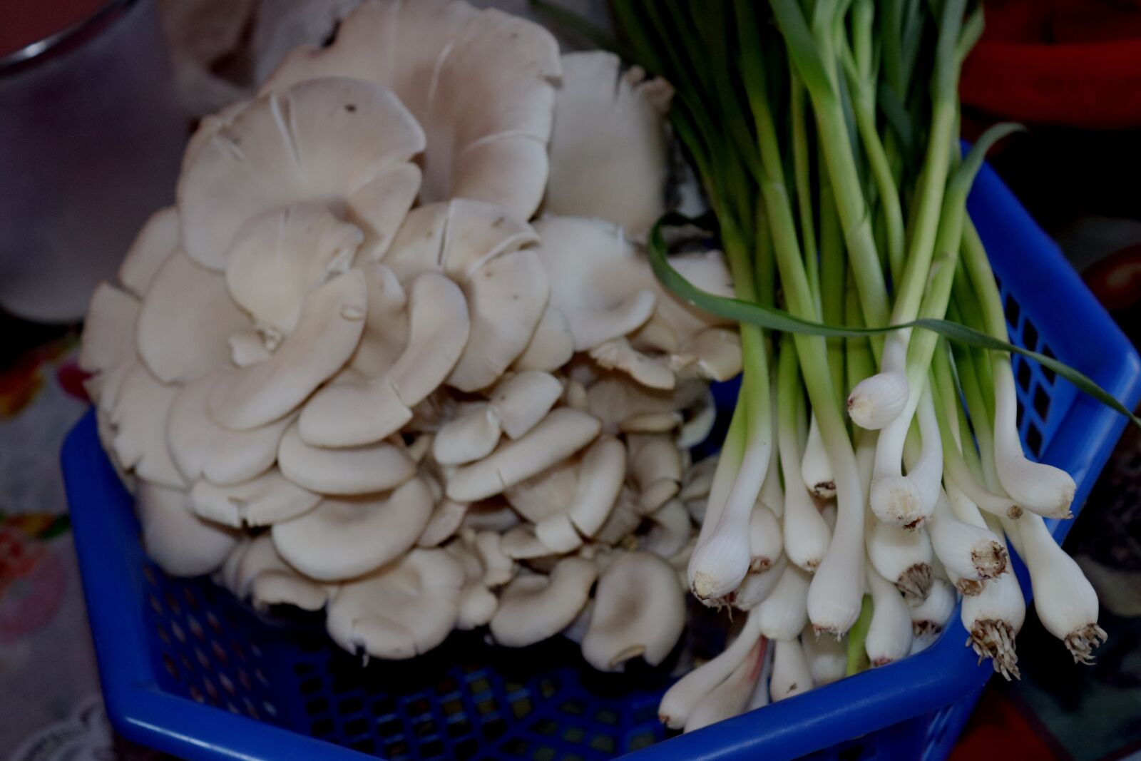 Canon EOS 200D (EOS Rebel SL2 / EOS Kiss X9) sample photo. Mushroom, garlic, kitchen photography