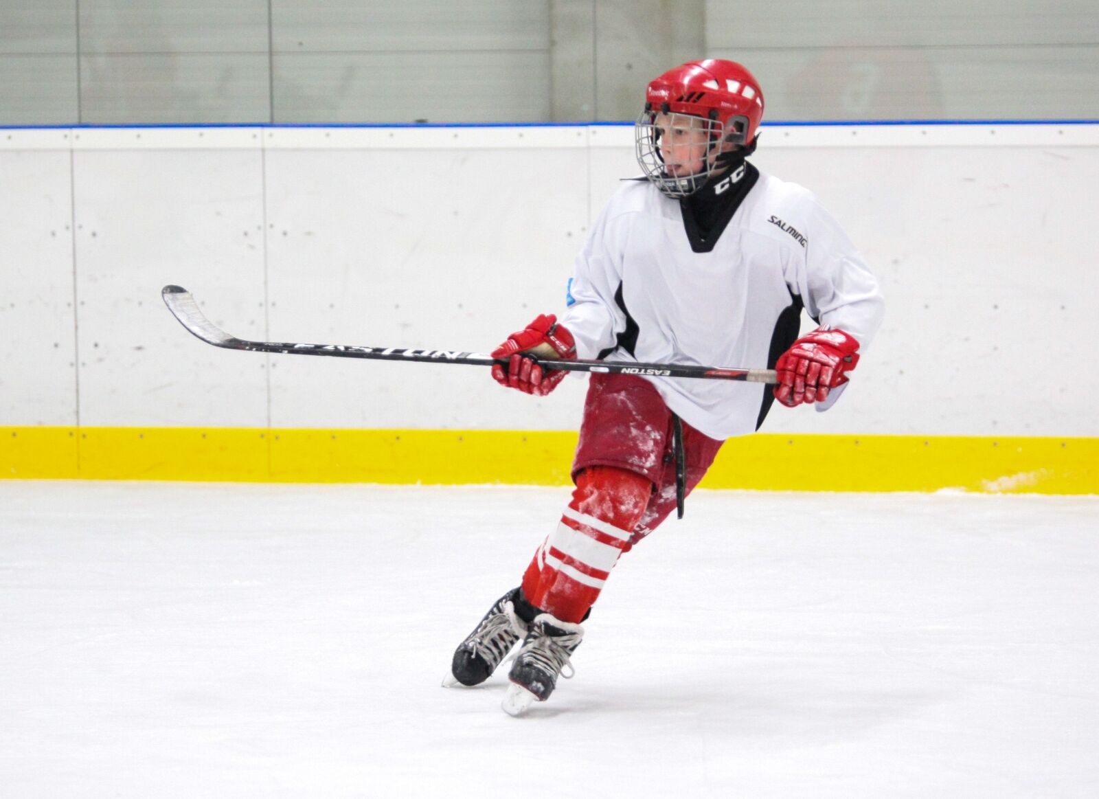 Canon EOS 5D Mark II sample photo. Hockey, player, game photography