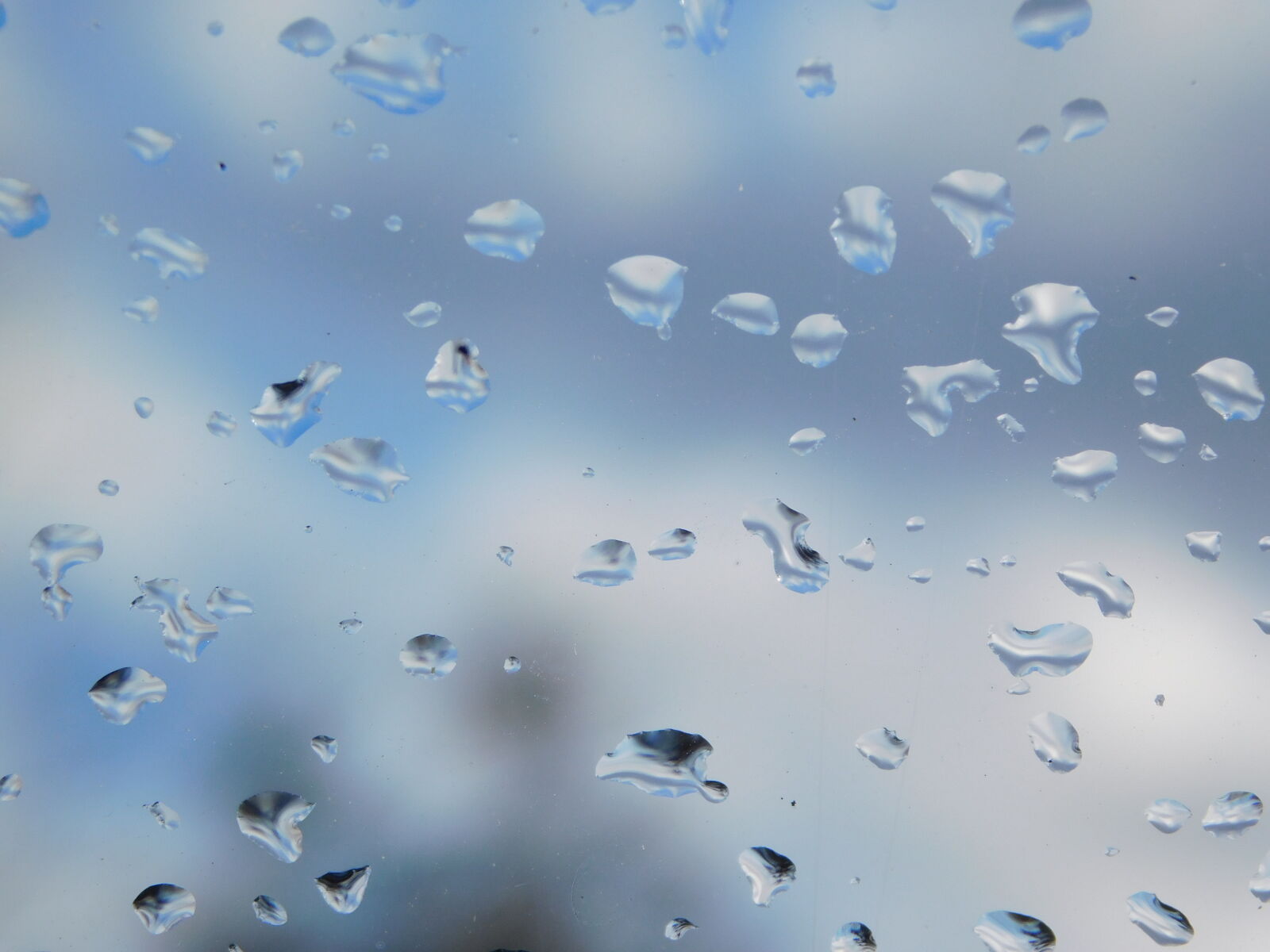 Nikon Coolpix L840 sample photo. Blue, drops, glass, rain photography