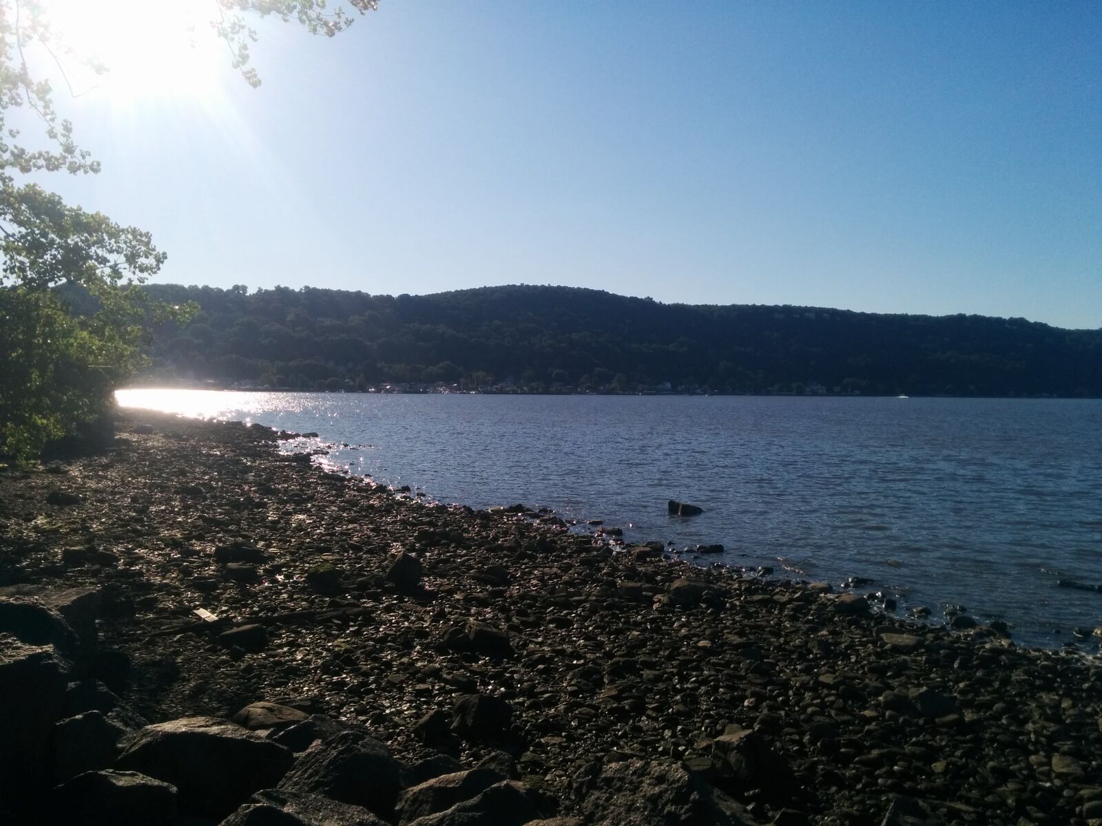 LG Nexus 5 sample photo