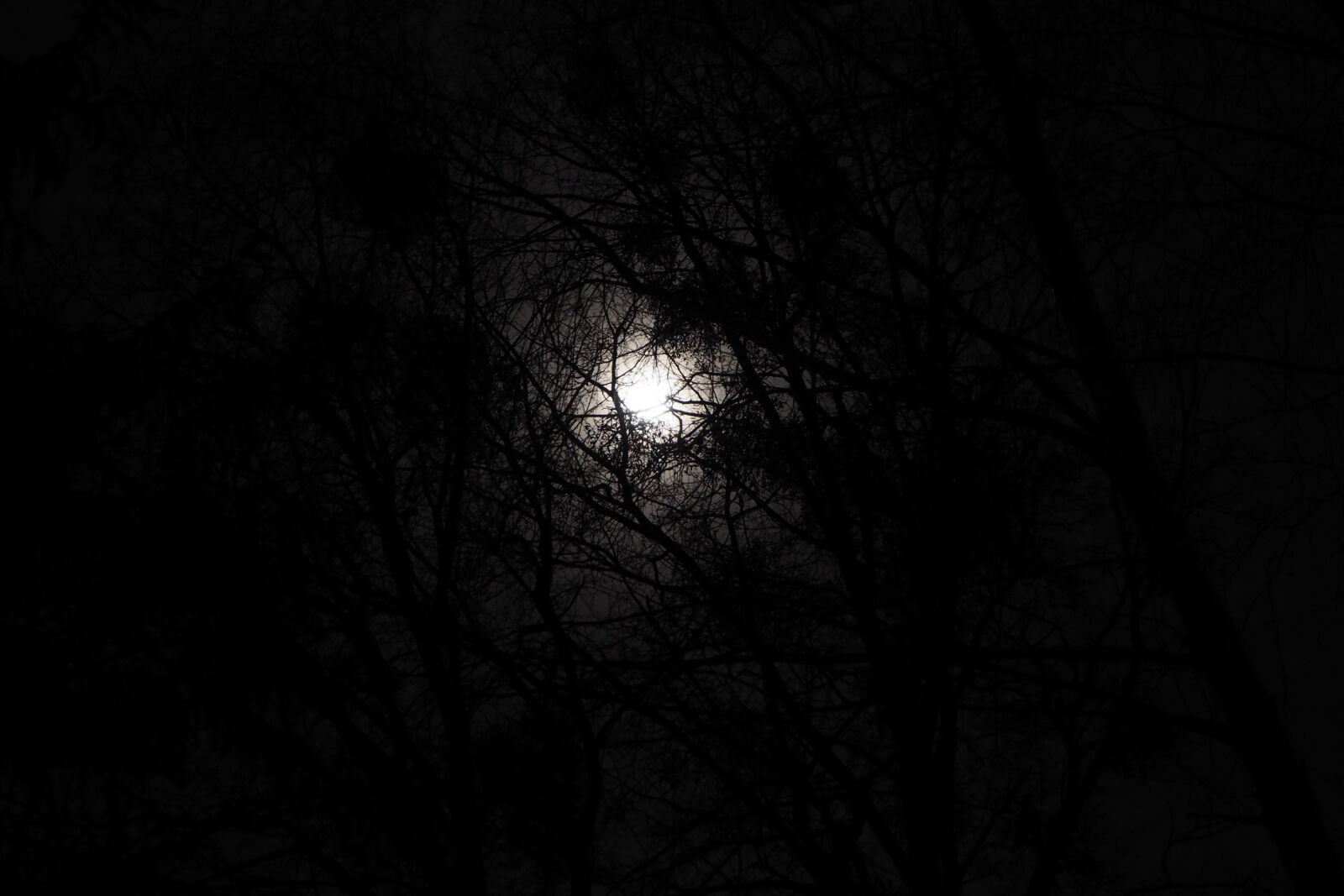 Olympus OM-D E-M10 II sample photo. The fullness of, night photography