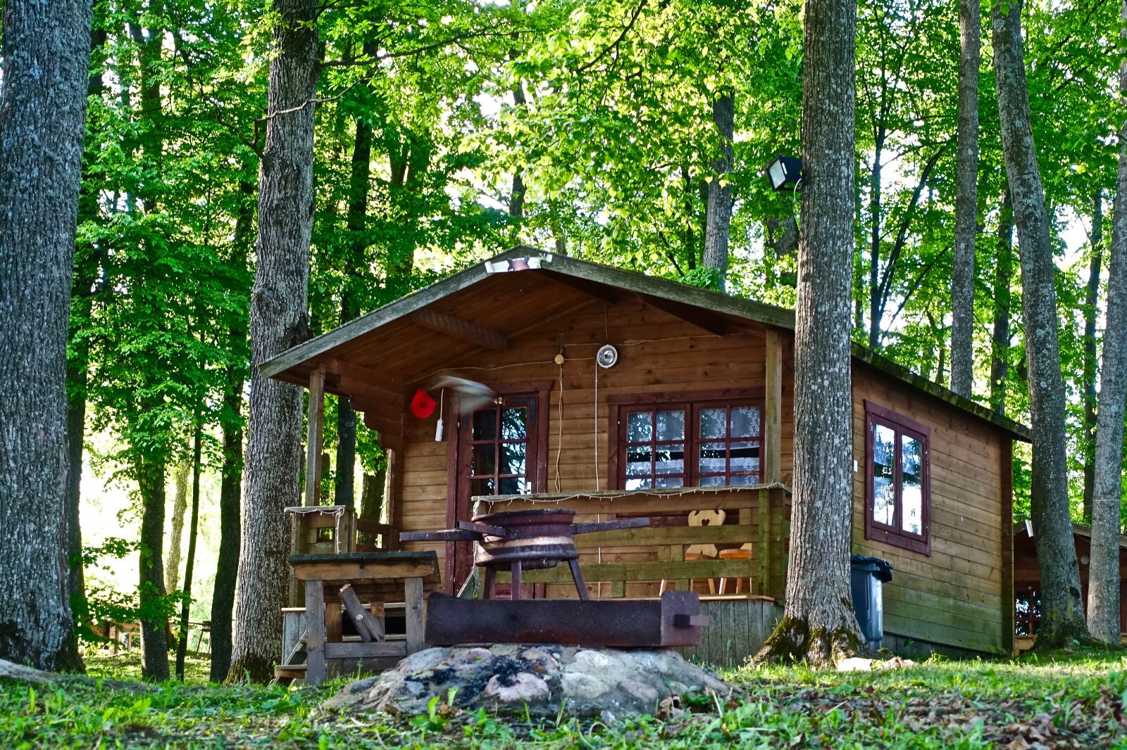 Sony Cyber-shot DSC-RX100 III sample photo. Hut, forest, wooden photography