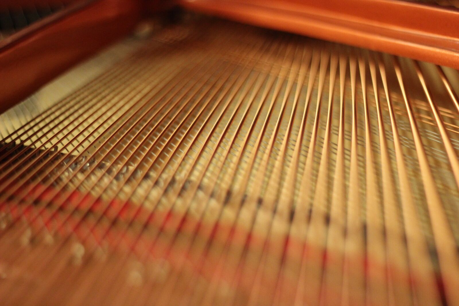 Canon EOS 550D (EOS Rebel T2i / EOS Kiss X4) sample photo. Wing, piano, blurry photography
