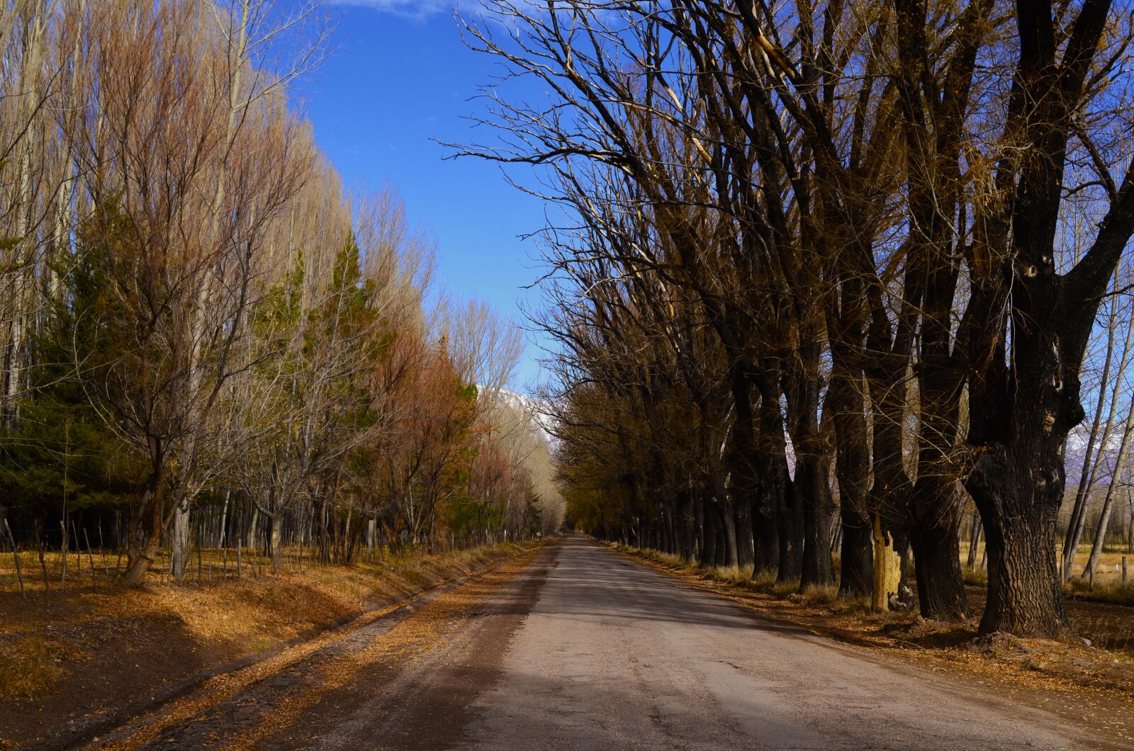 Nikon D5100 sample photo. Mendoza, uspallata, montañas photography