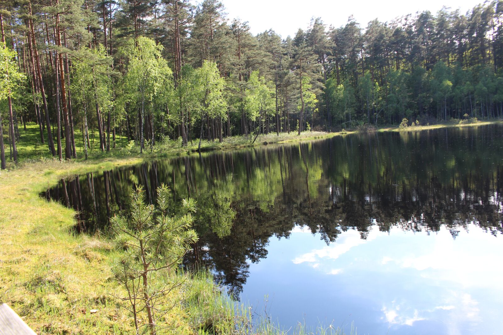 Canon EOS 100D (EOS Rebel SL1 / EOS Kiss X7) sample photo. The lake is dystrophic photography