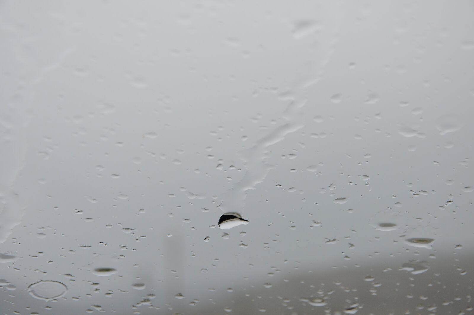 Nikon D90 sample photo. Rain, rain photo, rain photography