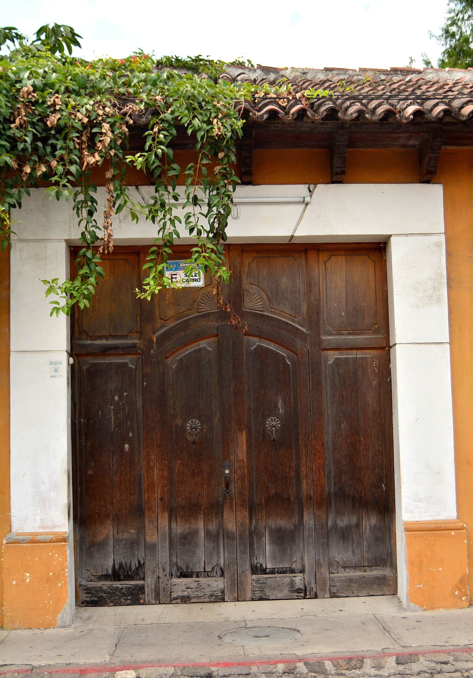 Nikon D5200 sample photo. Door, wood, wooden door photography