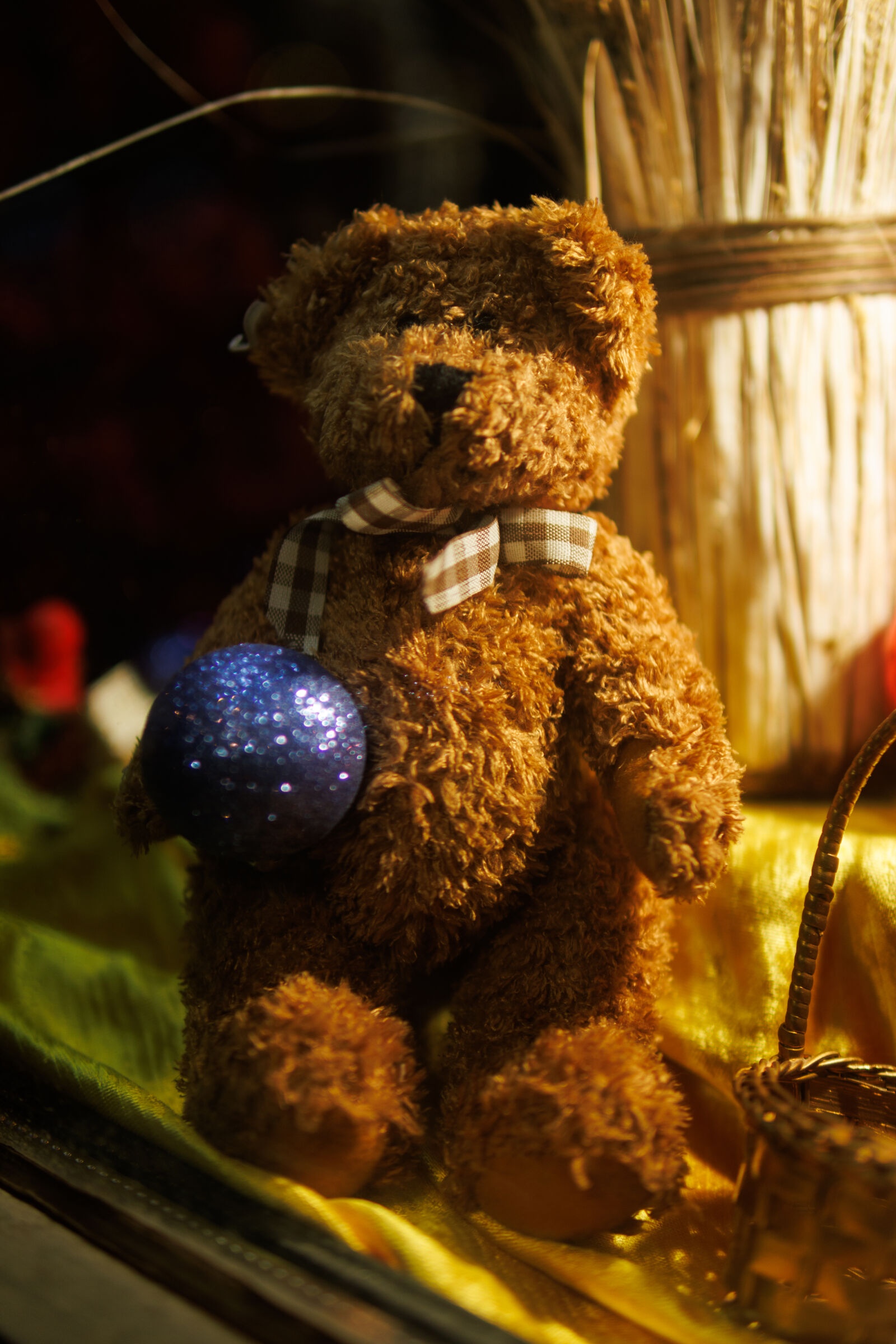 Sigma 30mm F1.4 DC DN | C sample photo. Teddy decoration photography