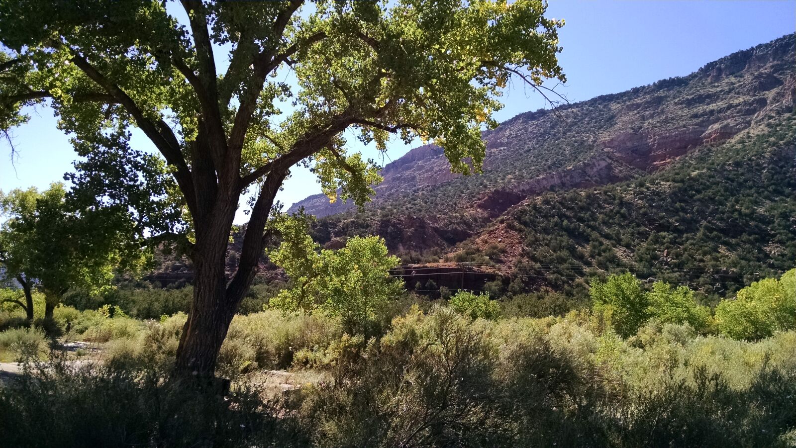Motorola XT1080 sample photo