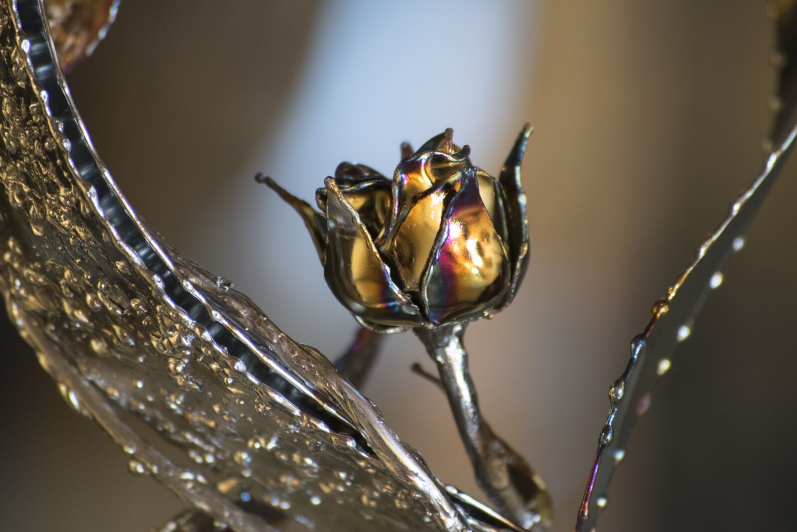Nikon D5300 sample photo. Smith, iron, steel photography