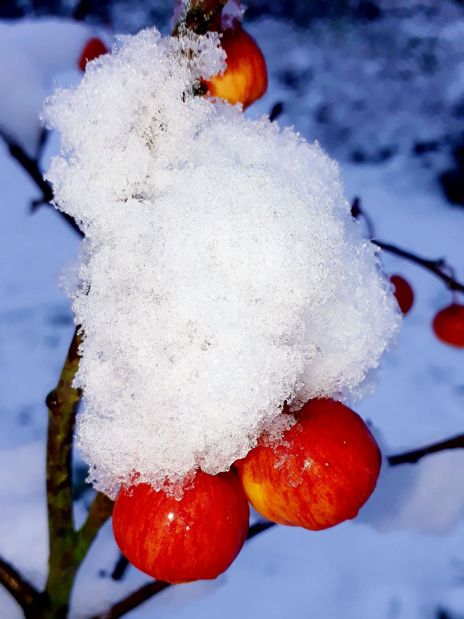 Samsung Galaxy A3(2017) sample photo. Embellishment, snow, snow crystals photography